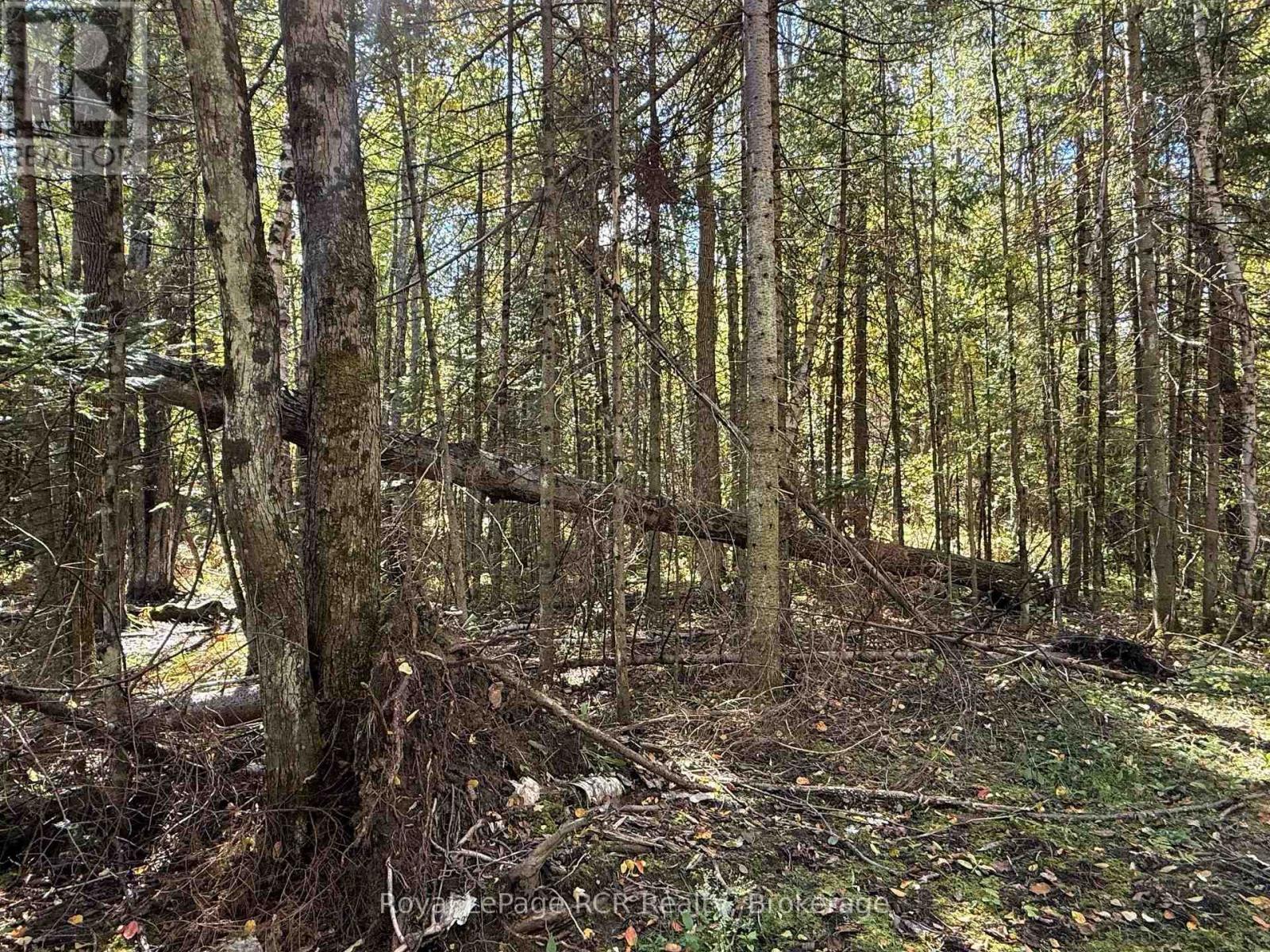 Pt Lt 1-2 Concession 3 — photo 7