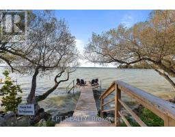 9 Davy Point Circle, Georgina, ON L4P3H2 Photo 40