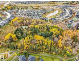 159 Hawks Ridge Bv Nw, Edmonton, AB T5S0H5 Photo 48