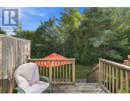 9 Valleymede Court, Collingwood, ON L9Y5E4 Photo 34