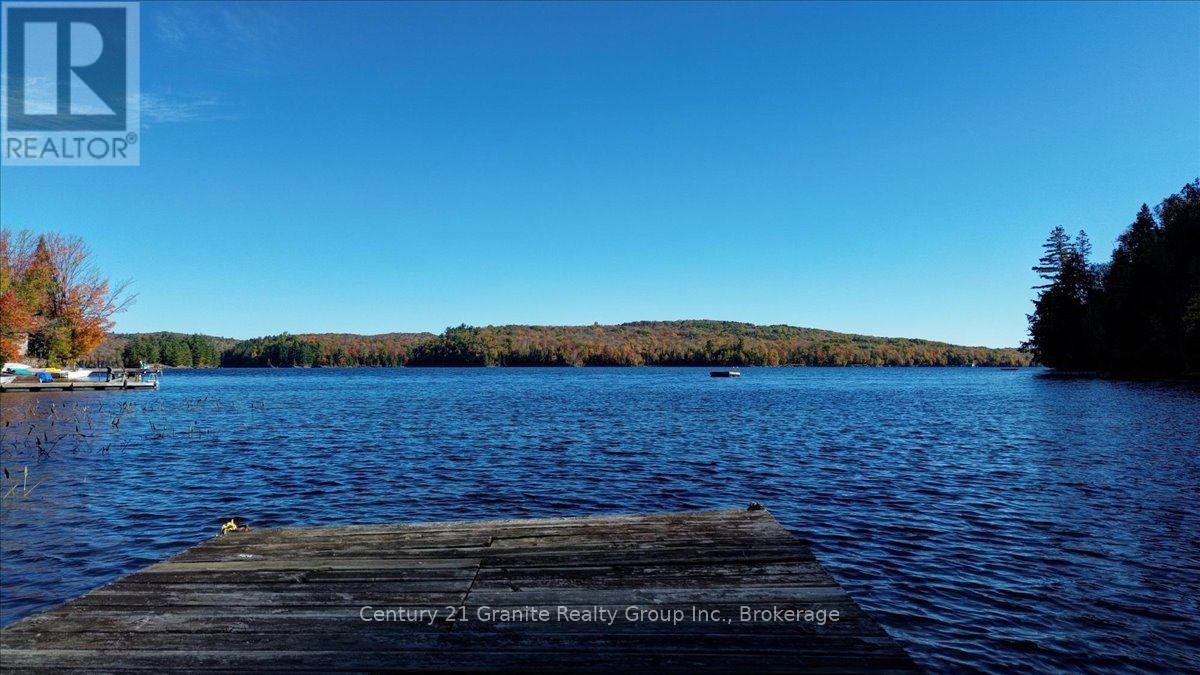 354 Forestview Road North, Hastings Highlands, ON photo 33