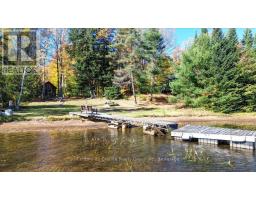 354 Forestview Road N, Hastings Highlands, ON K0L1C0 Photo 50