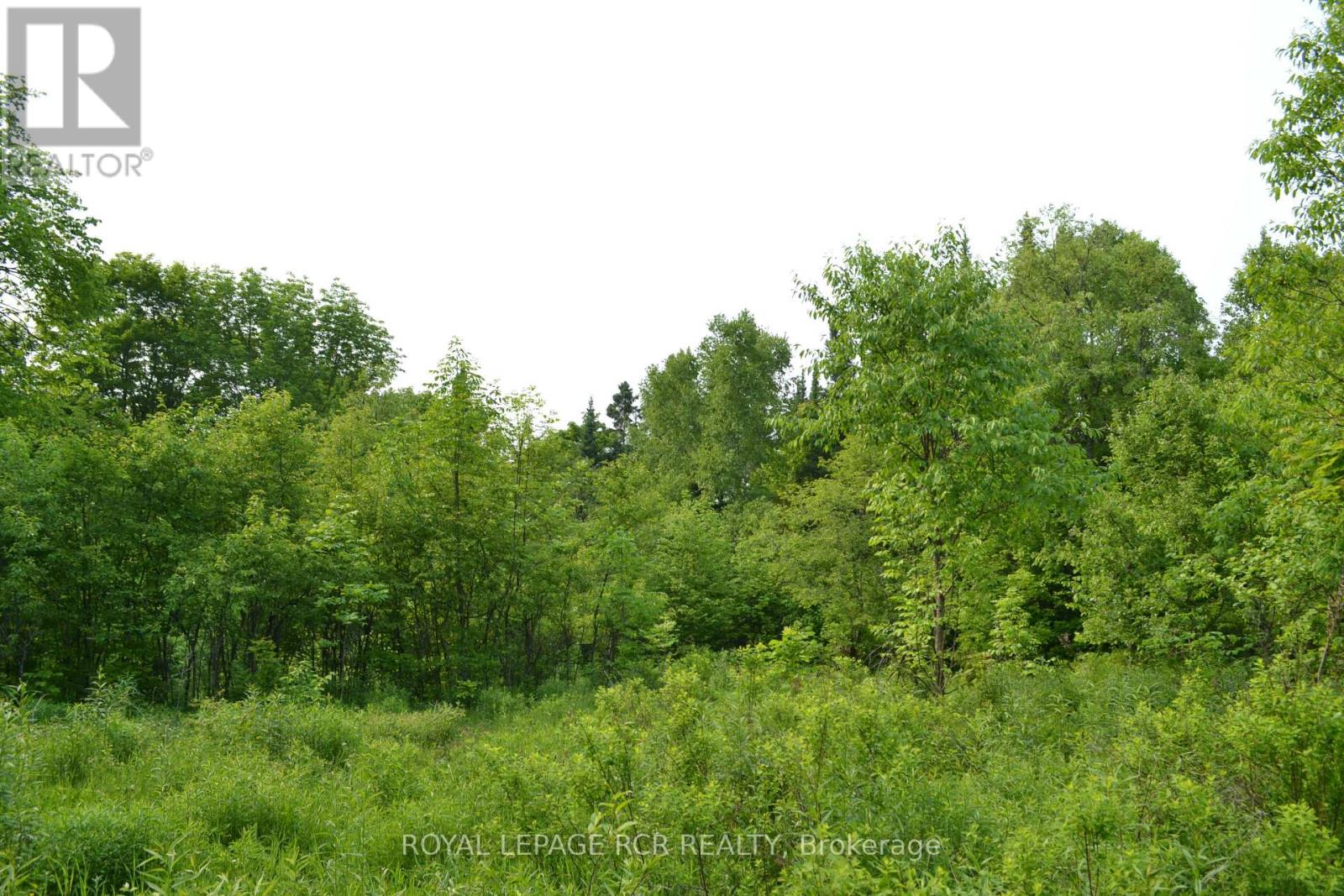 1527 Madill Road, Highlands East, ON photo 5