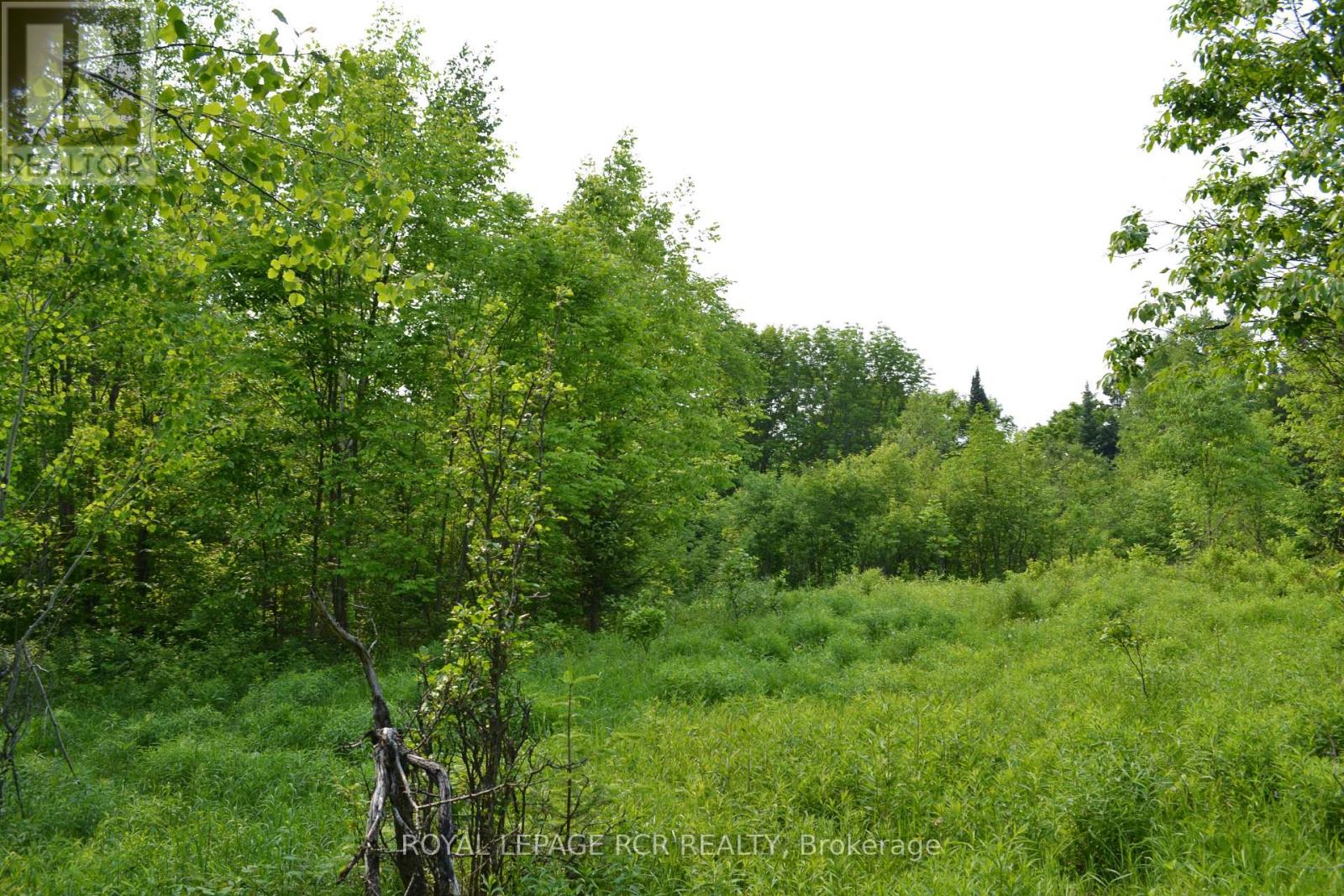 1527 Madill Road, Highlands East, ON photo 8