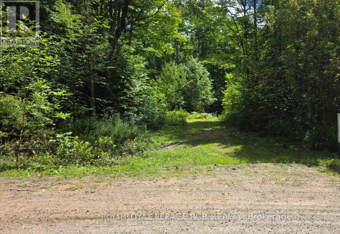 1414 Madill Road, Highlands East, ON