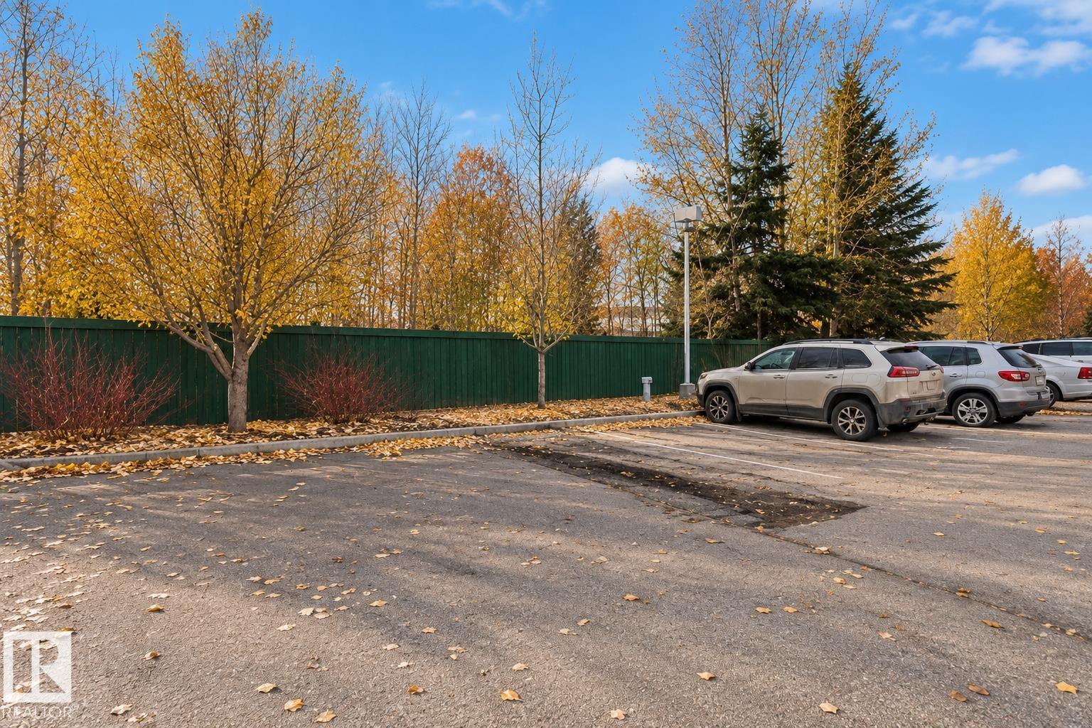 #306 905 BLACKLOCK WY SW - 21