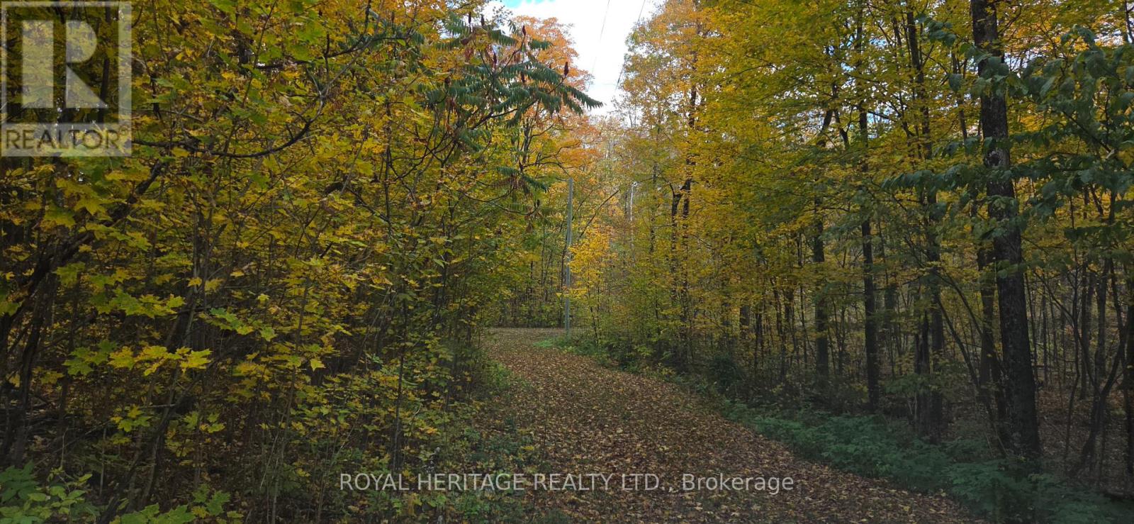 1280B AUSTRIS ROAD - 43