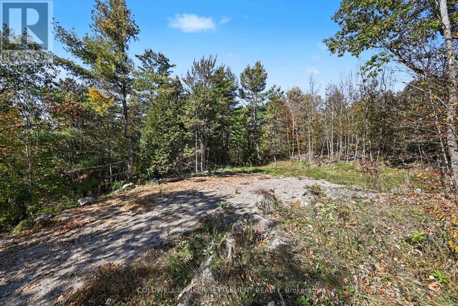 21618 Highway 7 Highway — photo 4