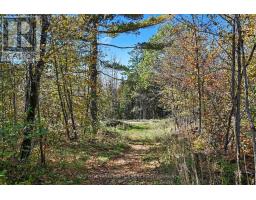 21618 Highway 7 Highway, Tay Valley, ON K0H2B0 Photo 6