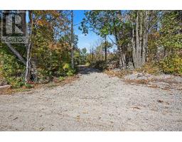 21618 Highway 7 Highway, Tay Valley, ON K0H2B0 Photo 9