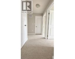30 Linden Park Lane, Hamilton, ON L9A1Y3 Photo 24
