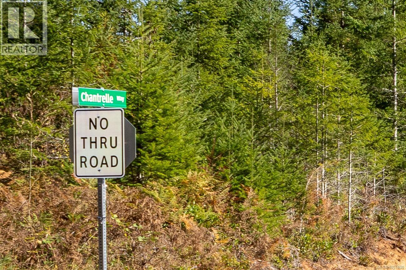Lot H Chantrelle Way, Campbell River - Image 1
