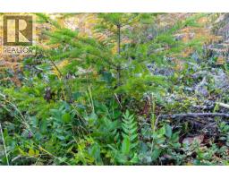 Lot H Chantrelle Way, Campbell River, BC V9H1B1 Photo 7