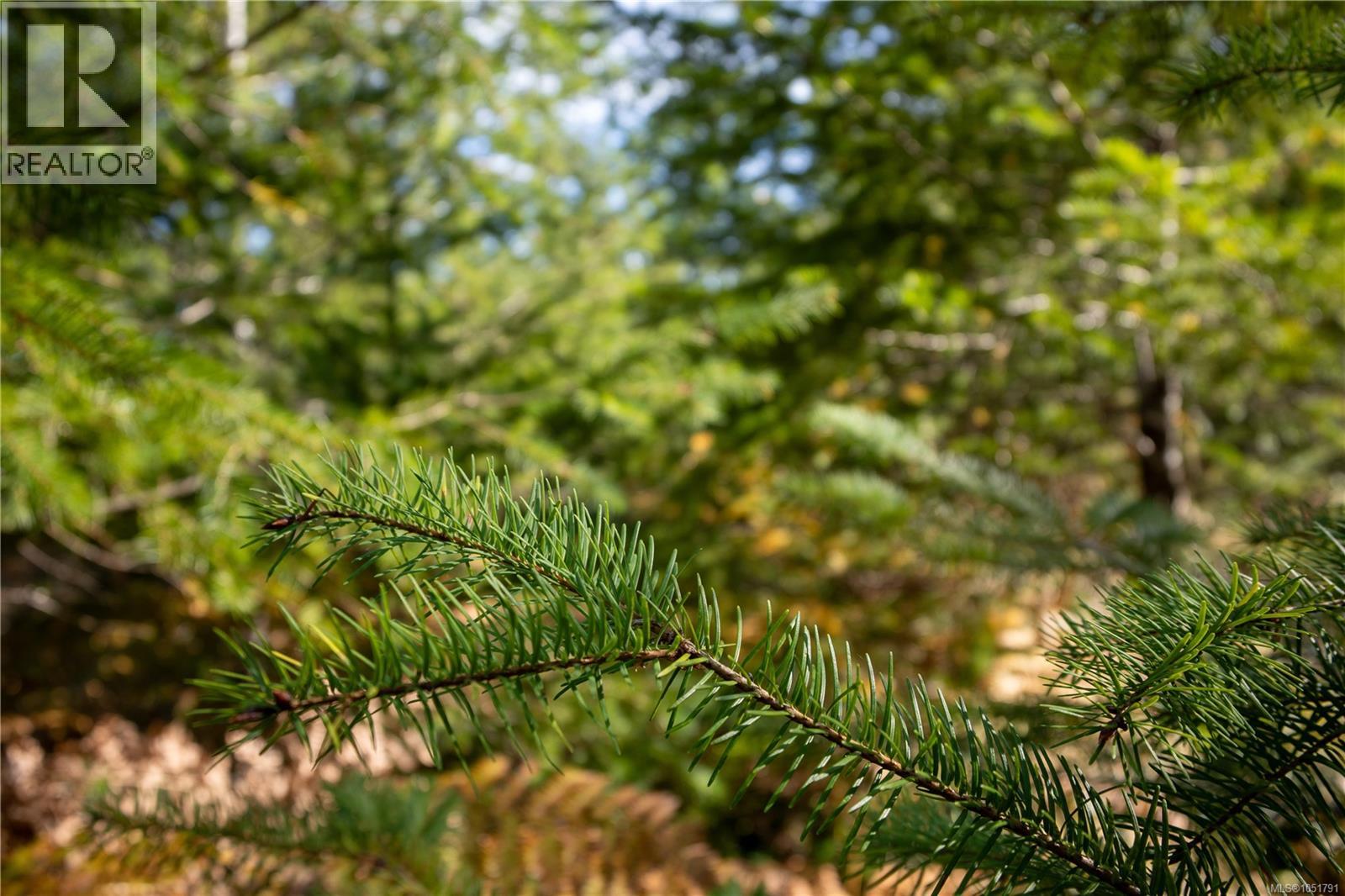 Lot D Chantrelle Way, Campbell River - Image 1