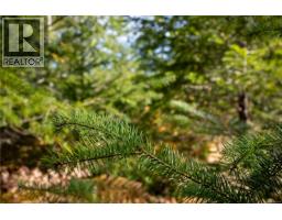 Lot D Chantrelle Way, Campbell River, BC V9H1B1 Photo 6