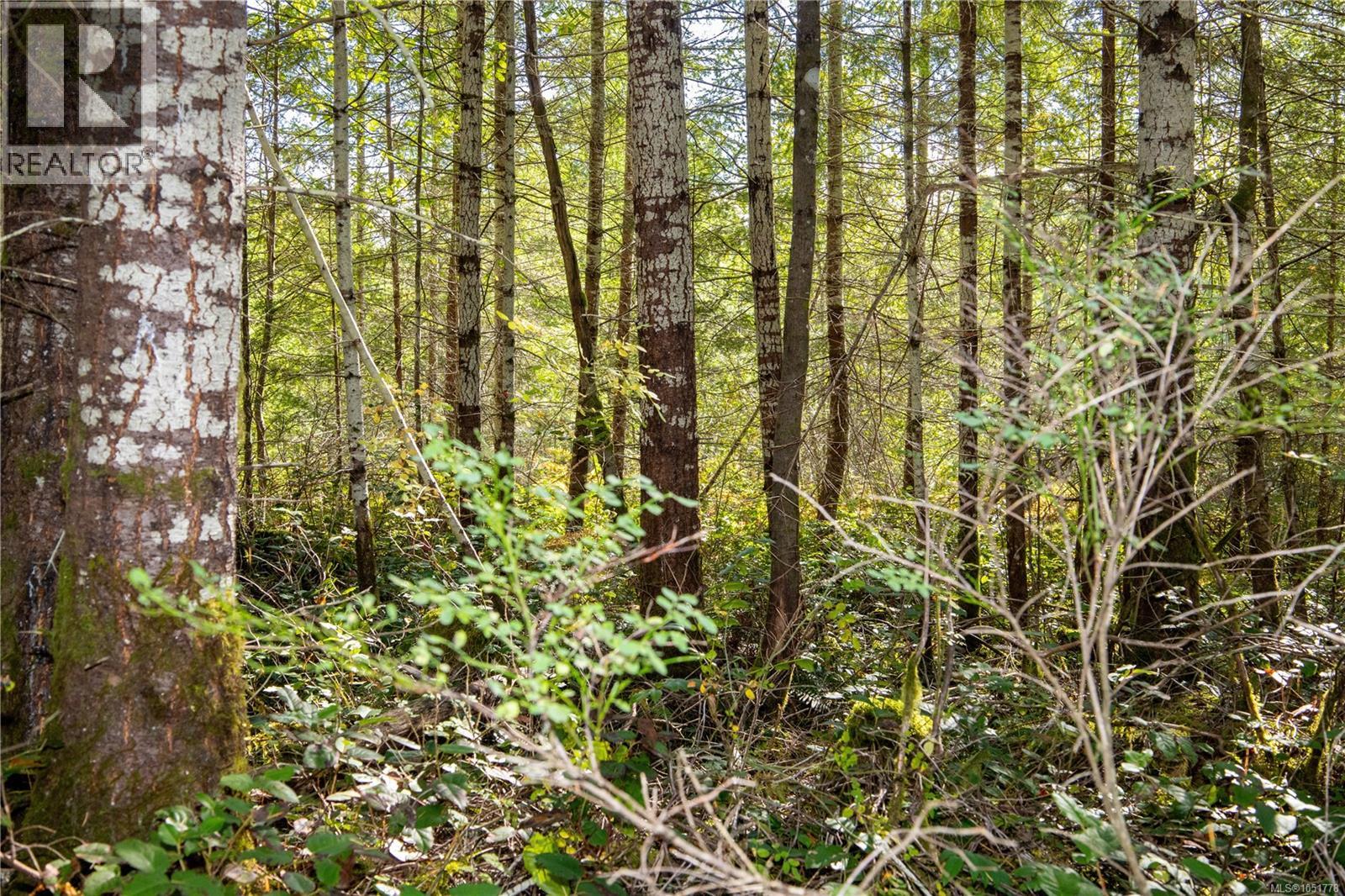 Lot B Chantrelle Way, Campbell River - Image 1