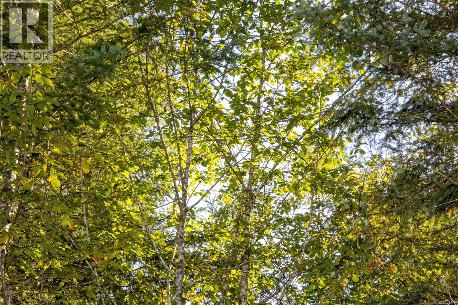 Lot B Chantrelle Way, Campbell River - Image 1