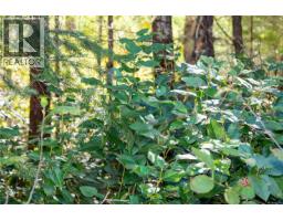 Lot B Chantrelle Way, Campbell River, BC V9H1B1 Photo 7