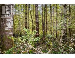 Lot B Chantrelle Way, Campbell River, BC V9H1B1 Photo 8