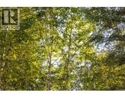 Lot B Chantrelle Way, Campbell River, BC V9H1B1 Photo 9