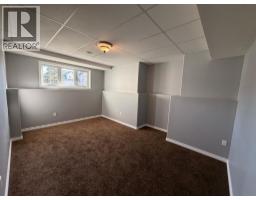 10115 93 Street, Sexsmith, AB T0H3C0 Photo 24