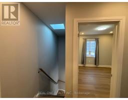 Laneway House - 90 Douglas Avenue, Toronto, ON M5M1G5 Photo 22