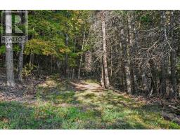 00 Fallbrook Road, Tay Valley, ON K0G1A0 Photo 6