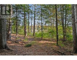 00 Fallbrook Road, Tay Valley, ON K0G1A0 Photo 8