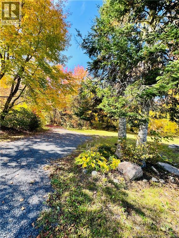 60 Mill Road Left Branch - 44