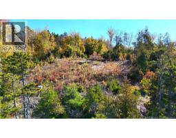 Bluff Road, Utopia, NB E5C0J4 Photo 15