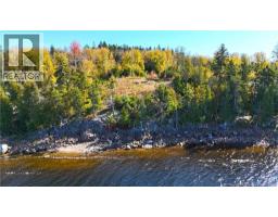 Bluff Road, photo 3