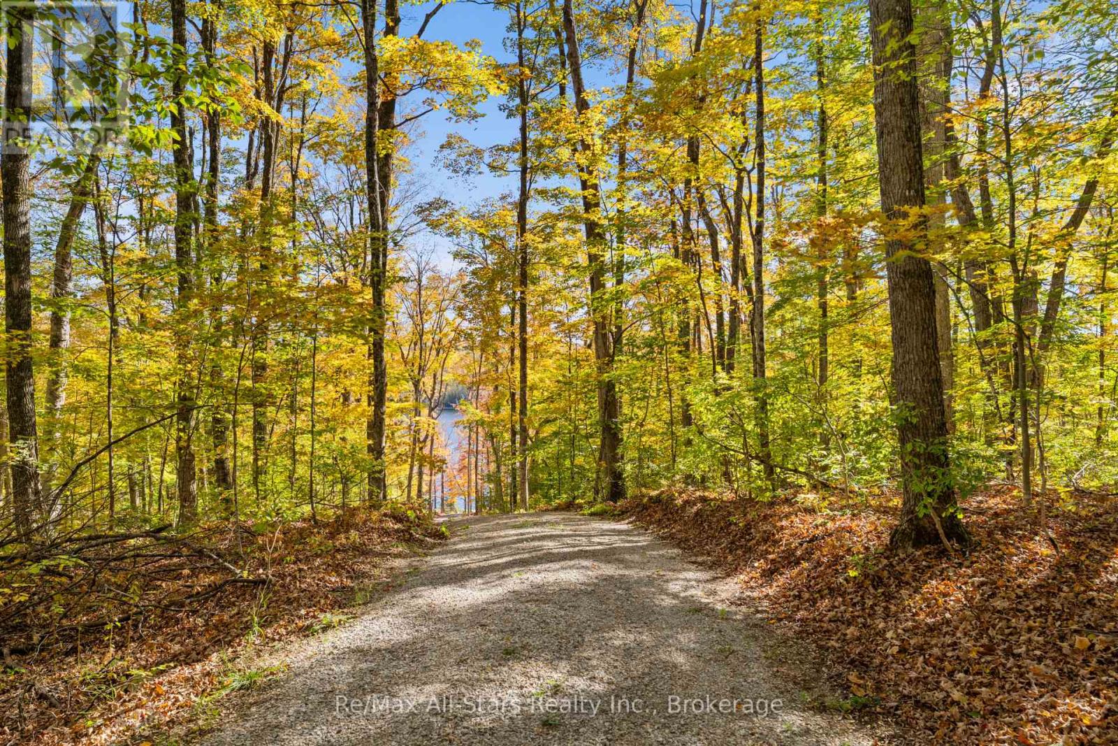 100 Russell Drive, Trent Lakes, ON photo 14
