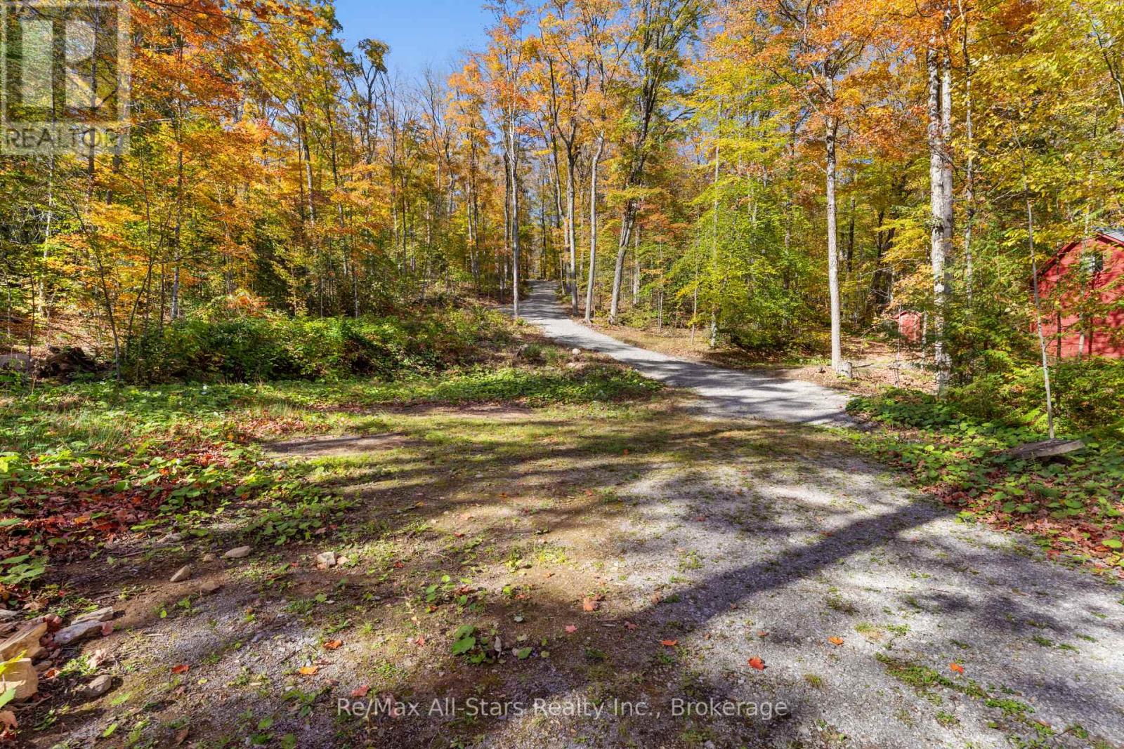 100 Russell Drive, Trent Lakes, ON photo 16