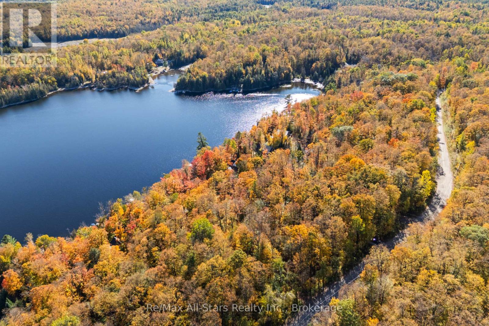 100 Russell Drive, Trent Lakes, ON photo 5
