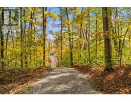 100 Russell Drive, Trent Lakes, ON K0M2A0 Photo 14