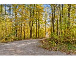 100 Russell Drive, Trent Lakes, ON K0M2A0 Photo 24