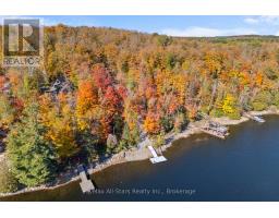 100 Russell Drive, Trent Lakes, ON K0M2A0 Photo 27