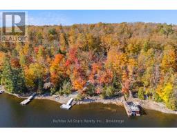 100 Russell Drive, Trent Lakes, ON K0M2A0 Photo 28