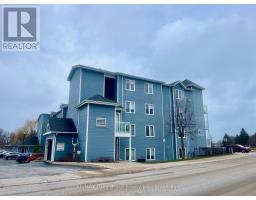 308 - 34 Bayfield Street, Meaford, ON N4L1Y2 Photo 28