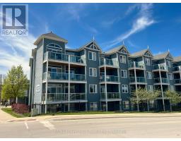 308 - 34 Bayfield Street, Meaford, ON N4L1Y2 Photo 27