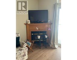 308 - 34 Bayfield Street, Meaford, ON N4L1Y2 Photo 20