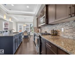 4017 171a Av Nw, Edmonton, AB T5Y0Z4 Photo 20