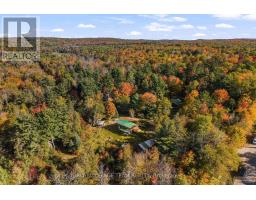 211 Woodland Lane, Brudenell, Lyndoch And Raglan, ON K0J2A0 Photo 8