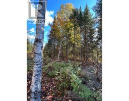 0 Rosien Road, Bonnechere Valley, ON K0J1T0 Photo 7