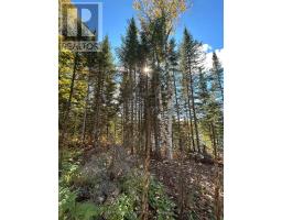 0 Rosien Road, Bonnechere Valley, ON K0J1T0 Photo 8