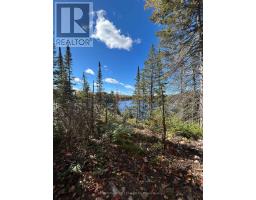 0 Rosien Road, Bonnechere Valley, ON K0J1T0 Photo 9