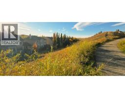 25 Discovery Ridge Hill SW - photo 46
