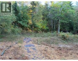 7013 Route 102, photo 15