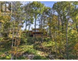 202 Edwina Drive, Trent Lakes, ON K0M1A0 Photo 41