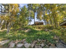 202 Edwina Drive, Trent Lakes, ON K0M1A0 Photo 39